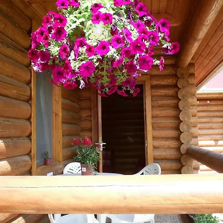 Relax Apartment